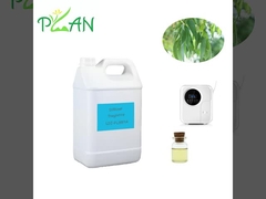 Eucalyptus Diffuser Fragrances Pure Natural France Nước hoa cây trà