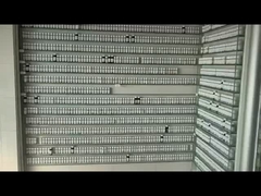 Polo Sport nước hoa Essence nước hoa dầu thơm