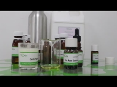 Các mẫu miễn phí nến thơm hồng hoa hồng hương thơm Essence Eco Friendly