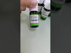 Xem Tại Sao Nên Chọn Tinh Dầu Nước Hoa Versace Floral 250ml để Làm Dầu Gội