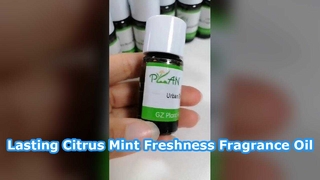 Tinh dầu nước hoa bạc hà Citrus Tươi mát lâu dài
