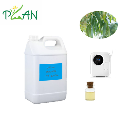 Eucalyptus Diffuser Fragrances Pure Natural France Nước hoa cây trà