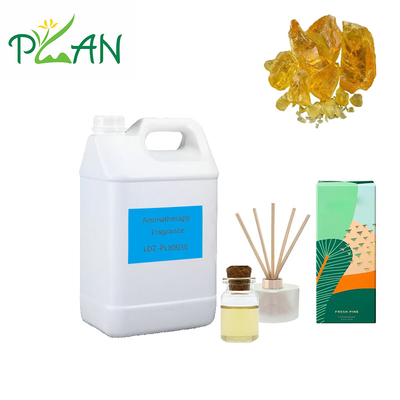 Dầu thơm của cây thông vàng Nước hoa thơm thơm thơm tinh dầu cho các sản phẩm chăm sóc da