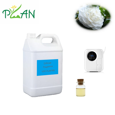 100% tinh khiết trà trắng nước hoa tinh dầu hoa thơm tinh dầu
