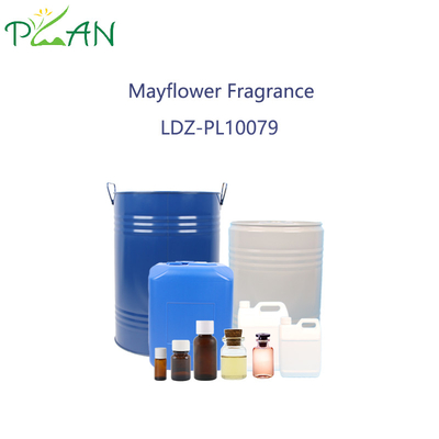 Nước hoa dầu thơm Mayflower Trailing Arbutus nước hoa tập trung