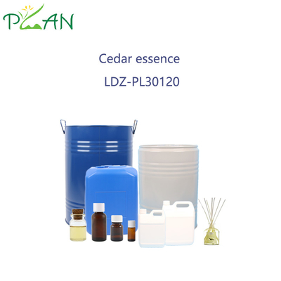 Cedar Essence Nước hoa hương thơm dầu nước hoa Cool Place Store