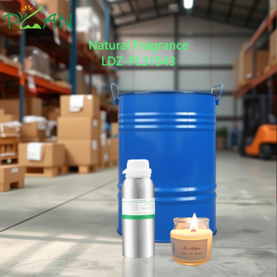 10ml Dầu thơm tự nhiên tập trung cho máy khuếch tán và cây gậy