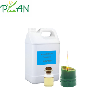 Nhà phun nước hoa với mẫu miễn phí Green Bamboo Essence Oil For Reed Stick & Cold Scented Candle & Diffuser
