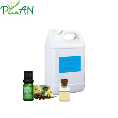 Nước hoa khuếch tán với mẫu miễn phí Rosemary & Eucalyptus Oil for Reed Stick & Cold Scented Candle & Diffuser Fragrance